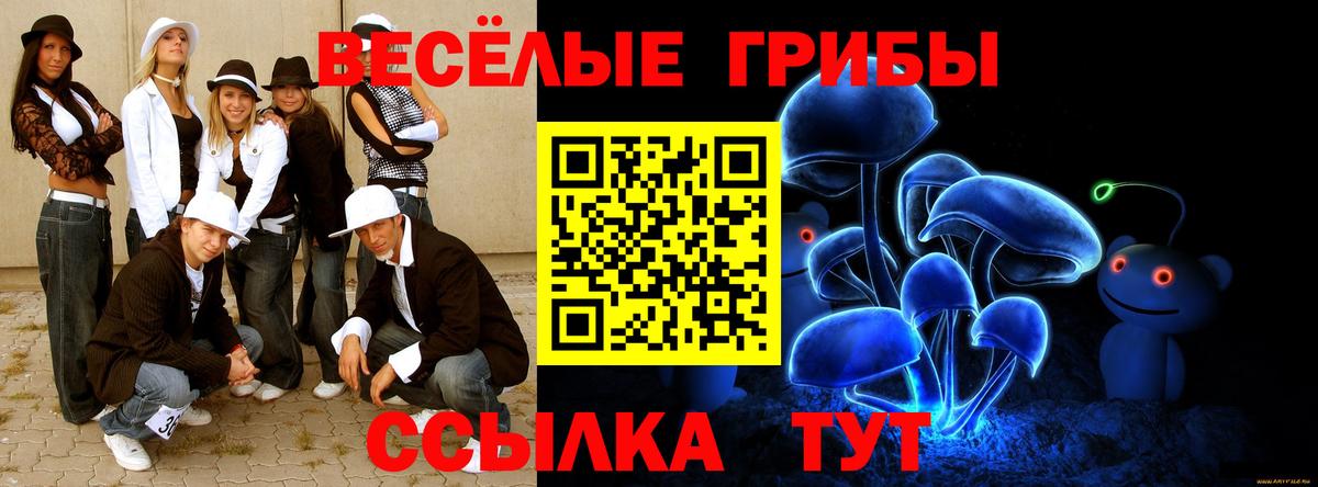 Соль-Илецк  купить наркотики сайты  Вход с VPN  Галлюциногенные грибы прущие грибы 