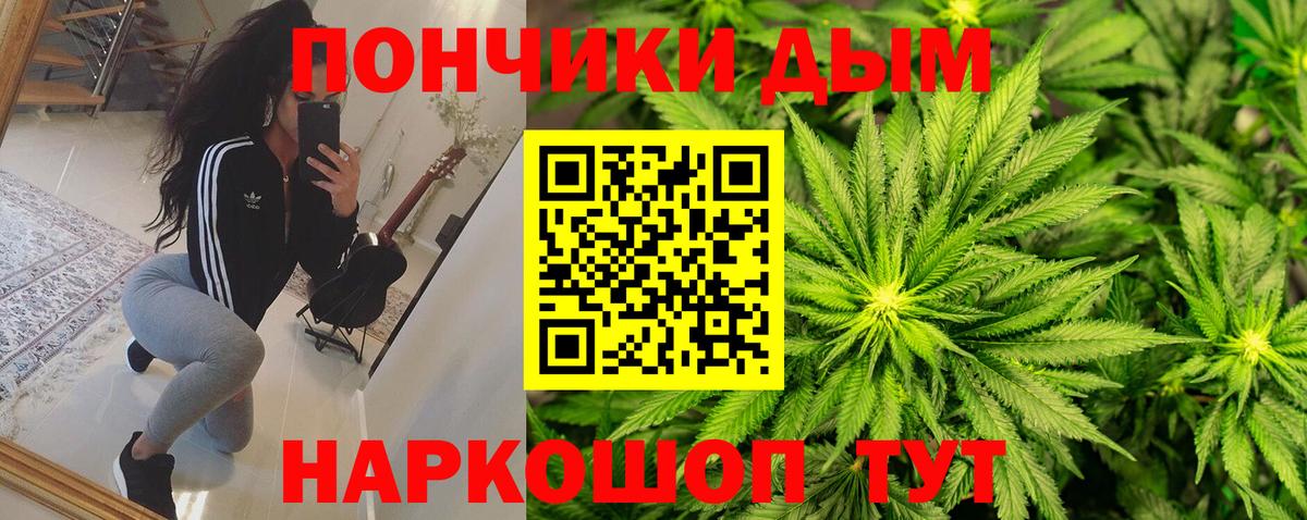 Бошки Шишки гибрид Соль-Илецк